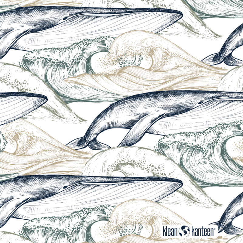 20oz-tkwide-with-twist-cap-ocean-day-i2 20oz_tkwide_bottle_seasonal_ocean_day_whale_artwork_square.png