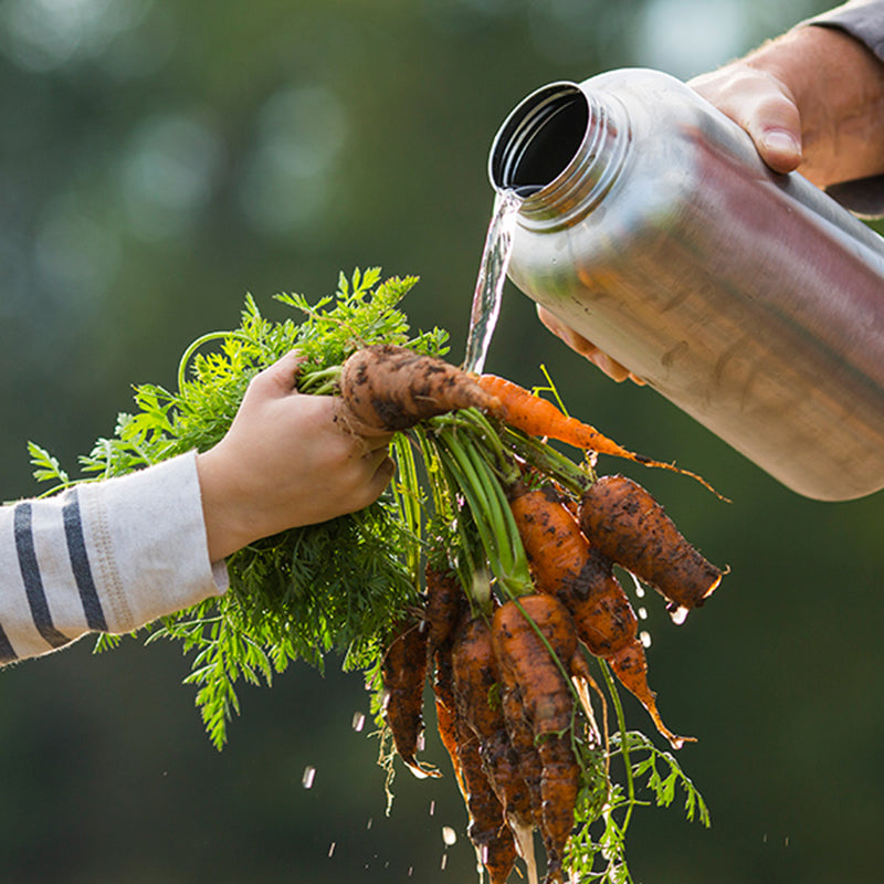 64oz-wide-with-loop-cap-i9 64oz_wide_mouth_bottle_carrots_rinse_square.jpg