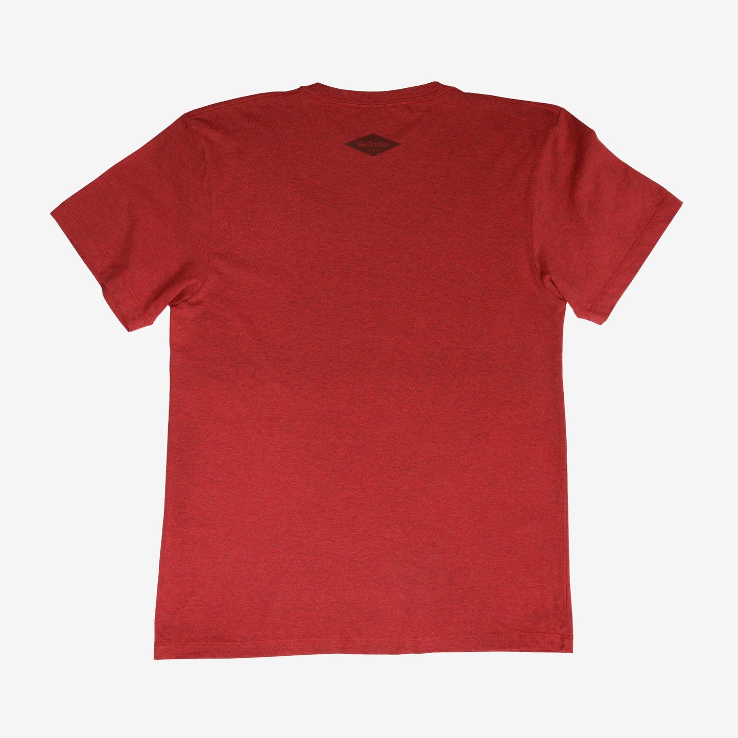 backyard-t-shirt-q3 Shirt_Mtn_Back.jpg